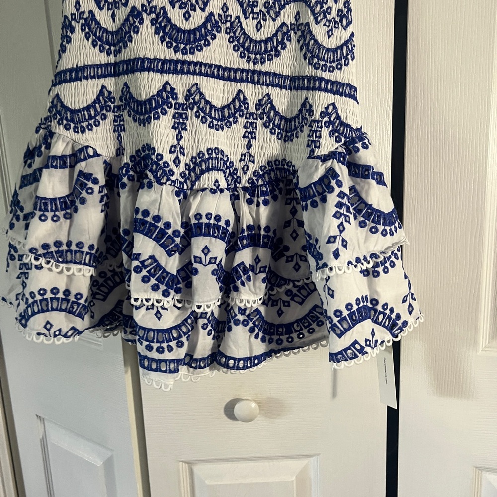 Embroidered Ruffled Sleeveless Dress - Picture 4 of 16